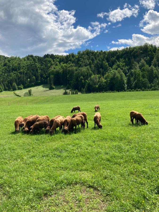 Haus Haslach Elsbethen Eksteriør bilde