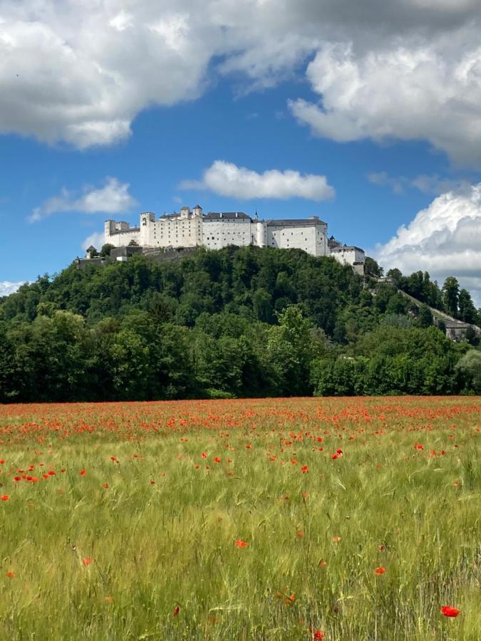 Haus Haslach Elsbethen Eksteriør bilde
